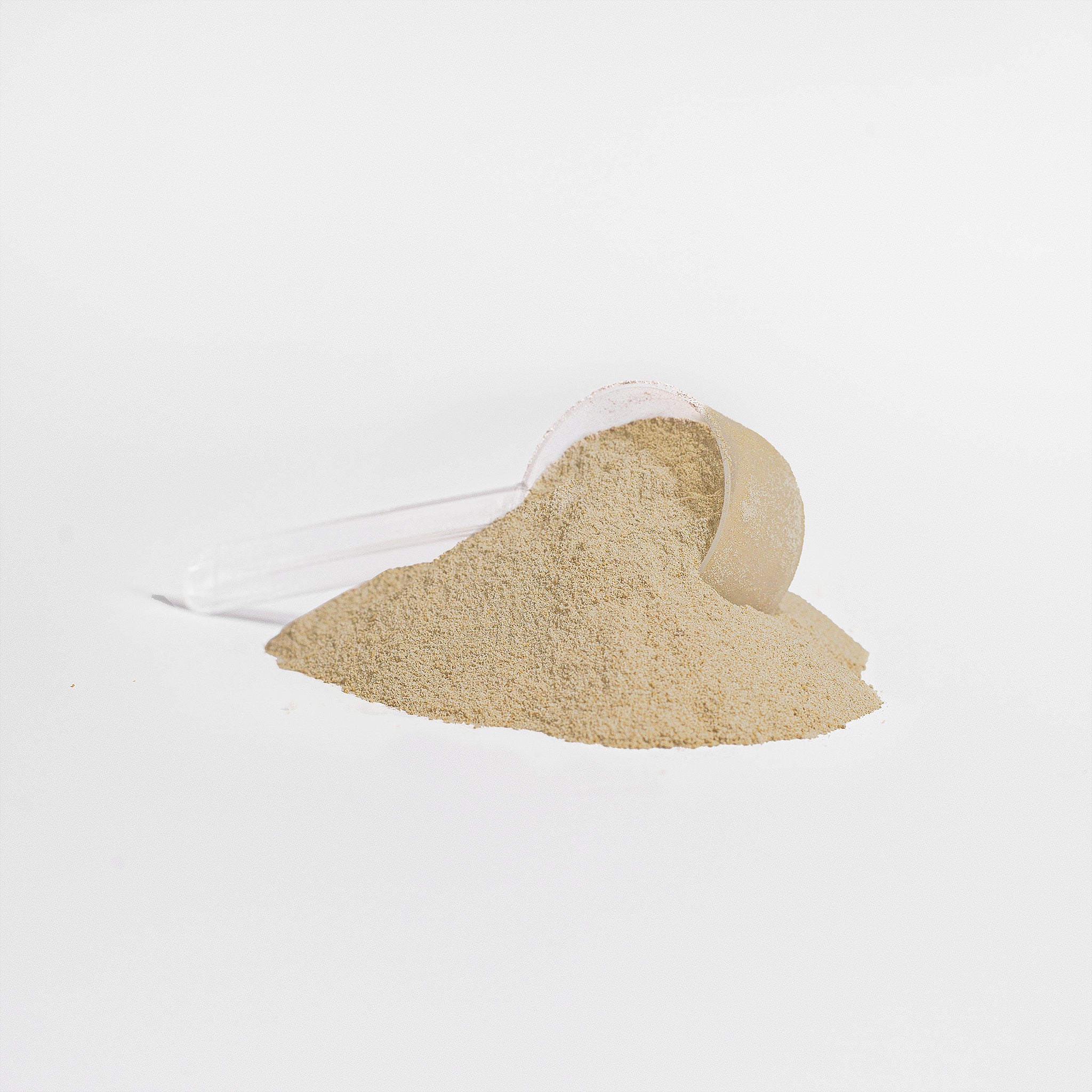 Vanilla & Chocolate Plant Protein – Low-Calorie, Allergen-Friendly, Weight Management Support