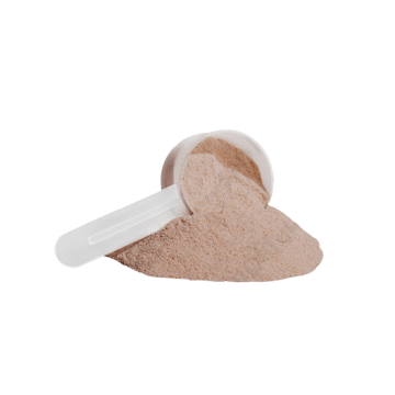 Vegan Chocolate Protein – Dairy-Free, Soy-Free & Gluten-Free Muscle Recovery Shake