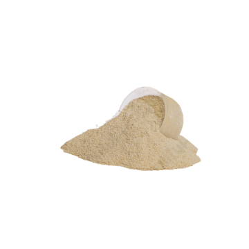 Vanilla & Chocolate Plant Protein – Low-Calorie, Allergen-Friendly, Weight Management Support