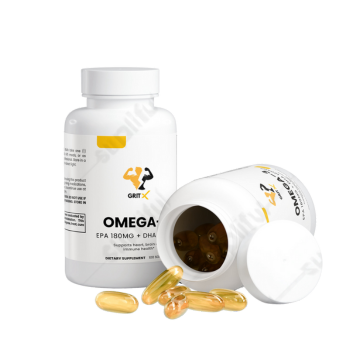 Probiotic Complex – 20 Billion CFU, 13 Strains for Digestive Balance & Immune Health